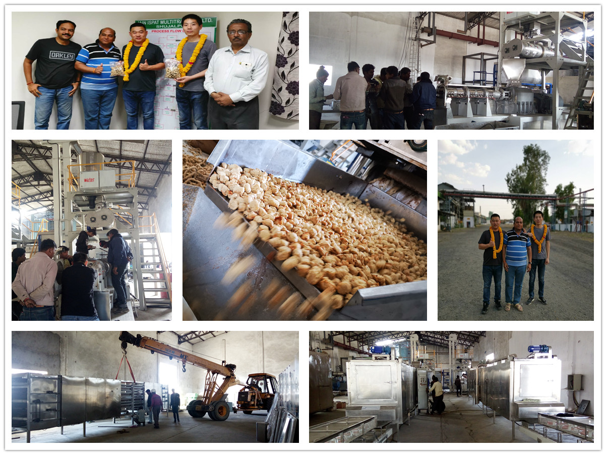 我们的2条1t/h组织蛋白生产线在印度